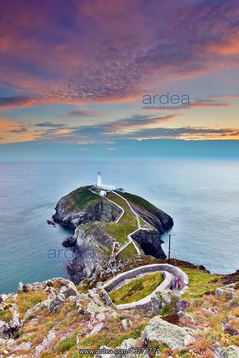 : 80200727 Seascape - at sunset South Stack, Anglesey : 80200727 Seascape - at sunset South Stack, Anglesey