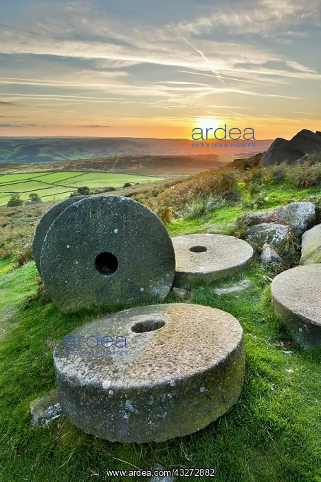 : 80200736 Stanage Edge Millstones Peak District : 80200736 Stanage Edge Millstones Peak District