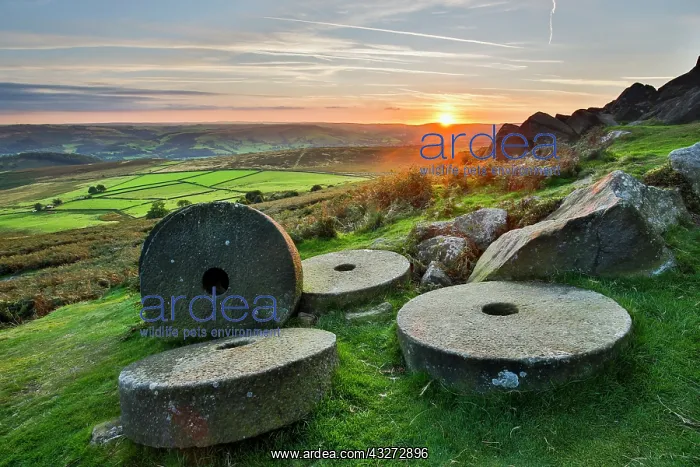 : 80200737 Stanage Edge Millstones Peak District : 80200737 Stanage Edge Millstones Peak District