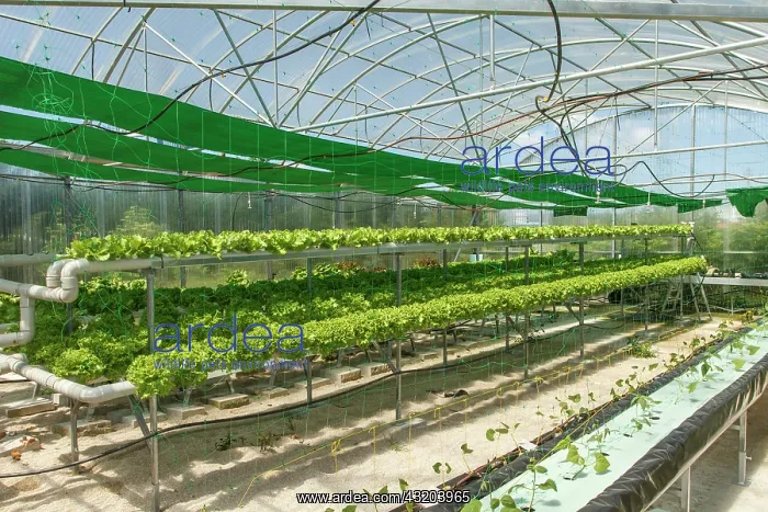 : 80201038 Greenhouse Galicia, Spain Brais Seara Fernandez : 80201038 Greenhouse Galicia, Spain Brais Seara Fernandez