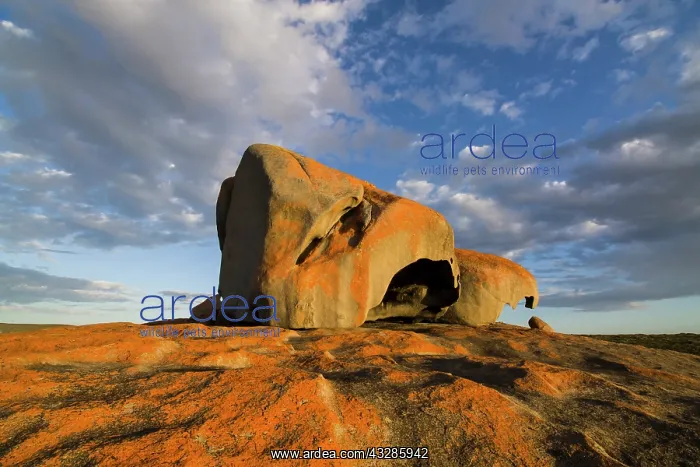 : 80201080 Remarkable Rocks - early morning Flinders : 80201080 Remarkable Rocks - early morning Flinders