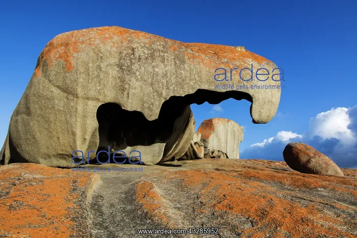 : 80201081 Remarkable Rocks - early morning Flinders : 80201081 Remarkable Rocks - early morning Flinders