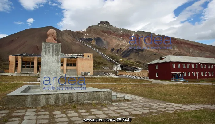 : 80201362 Pyramiden - statue of Lenin remains overlooking : 80201362 Pyramiden - statue of Lenin remains overlooking