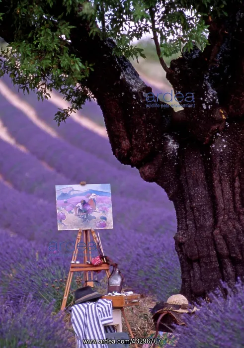 : 80201368 Artist - equipment and painting on easel : 80201368 Artist - equipment and painting on easel