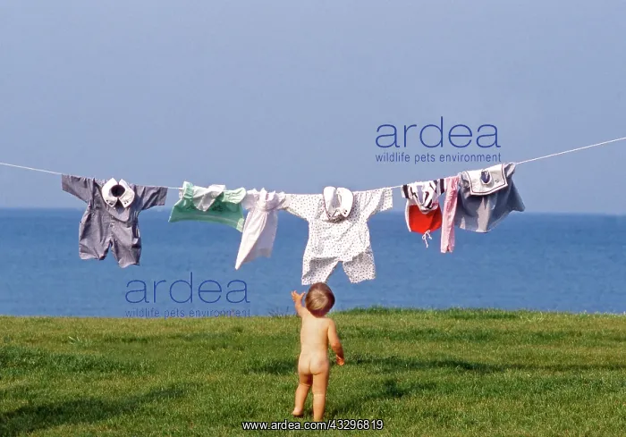 : 80201377 Child - naked young child hanging clothes : 80201377 Child - naked young child hanging clothes