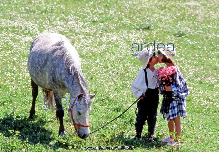 : 80201378 Boy and Girl - kissing - with flowers and : 80201378 Boy and Girl - kissing - with flowers and