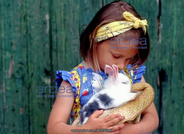 : 80201380 Girl - with bunny rabbit Frederic Rolland : 80201380 Girl - with bunny rabbit Frederic Rolland
