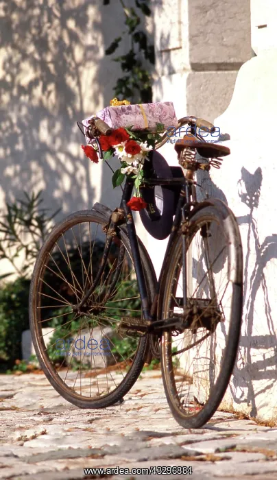 : 80201385 Bicycle - with flowers and present leaning : 80201385 Bicycle - with flowers and present leaning