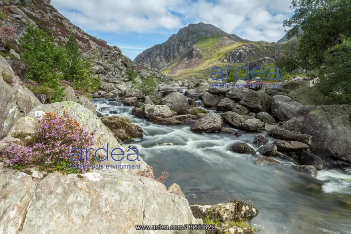 : 80201418 Tryfan and Afon Ogwen Snowdonia, Wales : 80201418 Tryfan and Afon Ogwen Snowdonia, Wales