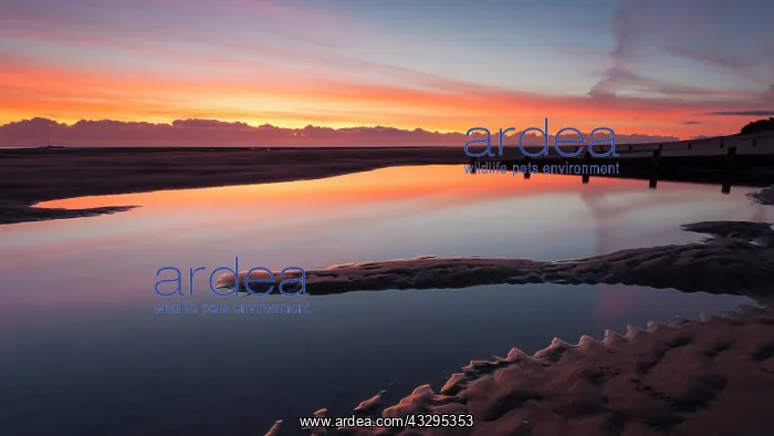 : 80201421 Seascape - at sunset in Autumn Barmouth : 80201421 Seascape - at sunset in Autumn Barmouth