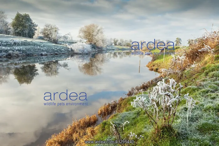 : 80201430 River Severn - with frost covered reflections : 80201430 River Severn - with frost covered reflections