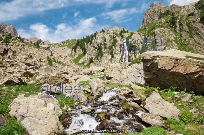 : 80202184 Mountain Landscape - with waterfall and