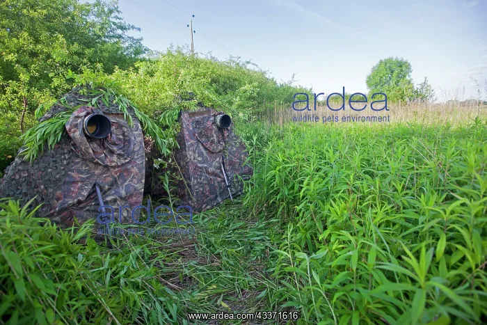 : 80202285 Photography Hide - in meadow and hedge : 80202285 Photography Hide - in meadow and hedge