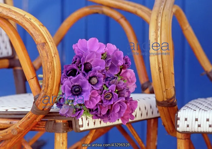 : 80202472 Bunch of flowers on wicker chair Frederic : 80202472 Bunch of flowers on wicker chair Frederic