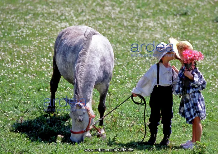 : 80202473 Boy and Girl - kissing - with flowers and : 80202473 Boy and Girl - kissing - with flowers and