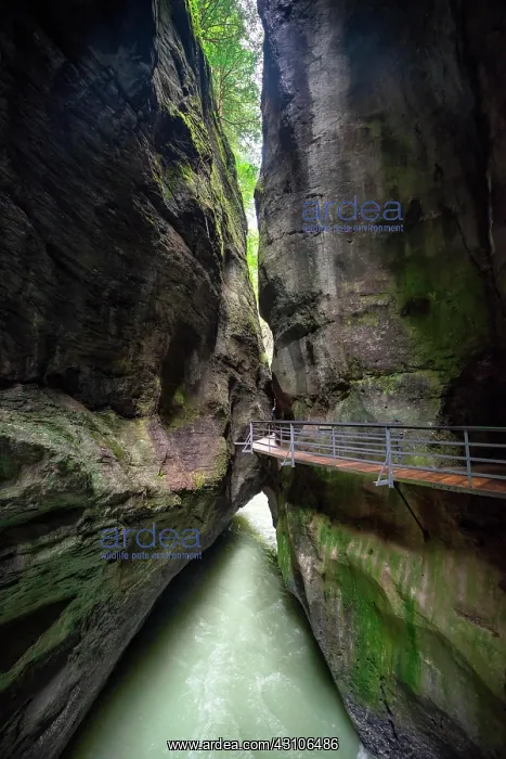 : Aare Gorge at Haslital valley or Hasli Valley, Berner : Aare Gorge at Haslital valley or Hasli Valley, Berner