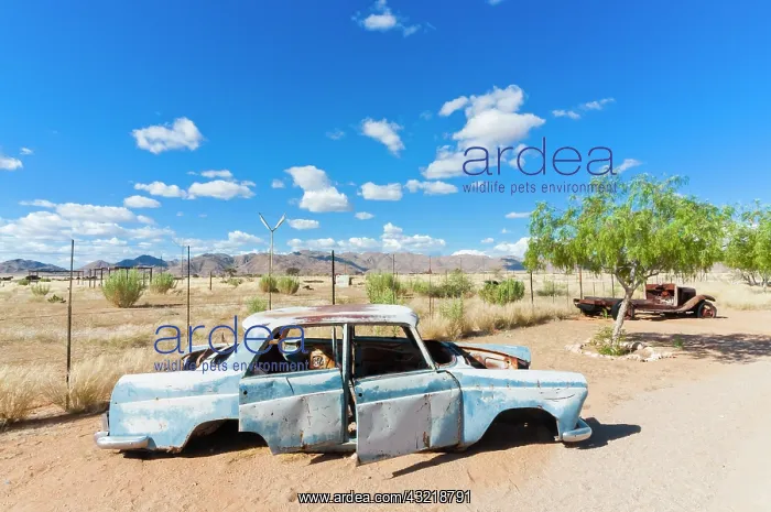 : Abandoned car in Solitaire Village, Khomas : Abandoned car in Solitaire Village, Khomas