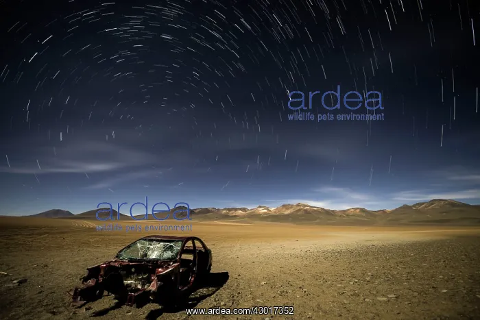: Abandoned Car with star trails in the sky : Abandoned Car with star trails in the sky