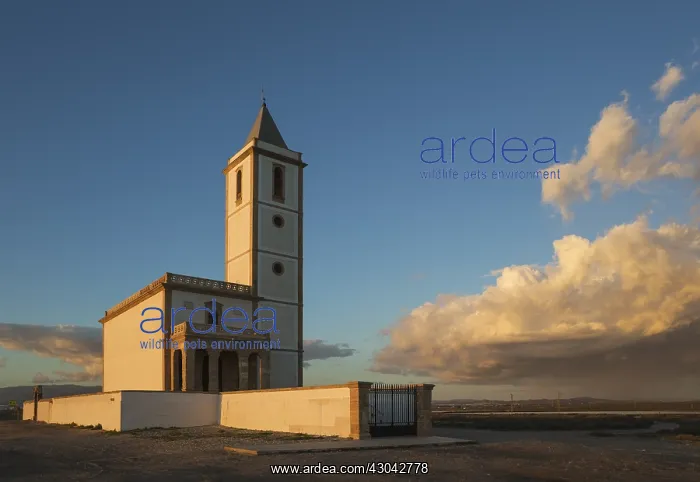 : The abandoned church Iglesia de Almadraba de Monteleva : The abandoned church Iglesia de Almadraba de Monteleva