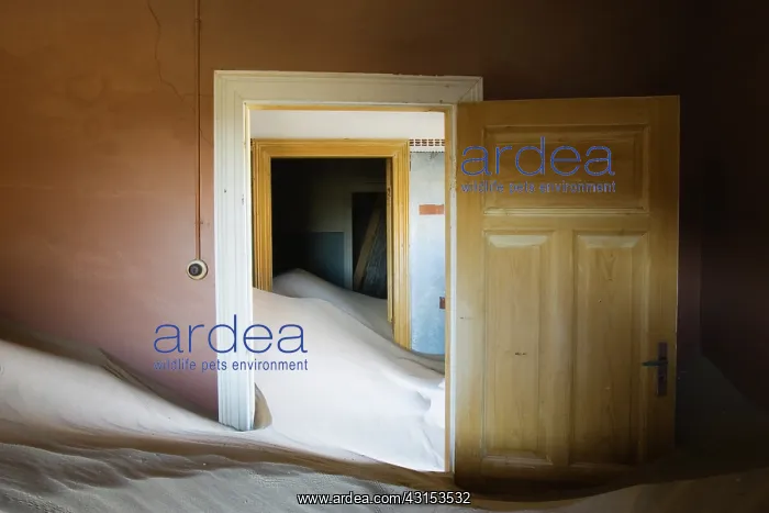 : An abandoned sand-filled room in the ghost town of Kolmansko : An abandoned sand-filled room in the ghost town of Kolmansko