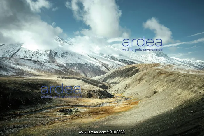 : Abandoned settlement in the high valley of the Wakhan : Abandoned settlement in the high valley of the Wakhan