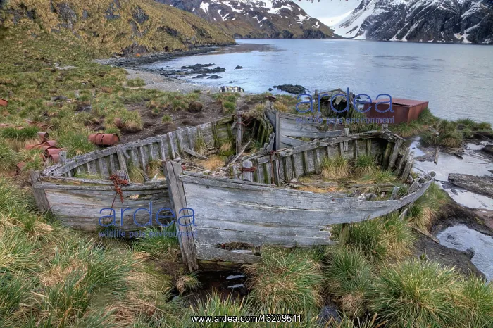 : Abandoned wooden boats on sea shore, Southern : Abandoned wooden boats on sea shore, Southern