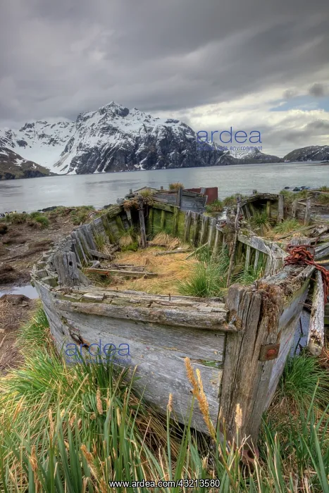 : Abandoned wooden rowing boat, Southern Atlantic : Abandoned wooden rowing boat, Southern Atlantic