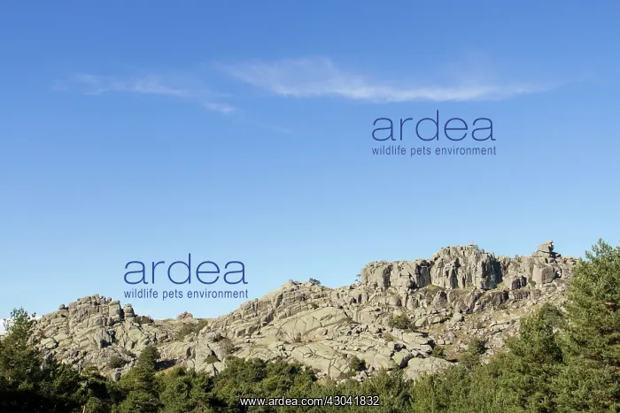 : Abantos Mountain view of rocks on top of mountain : Abantos Mountain view of rocks on top of mountain