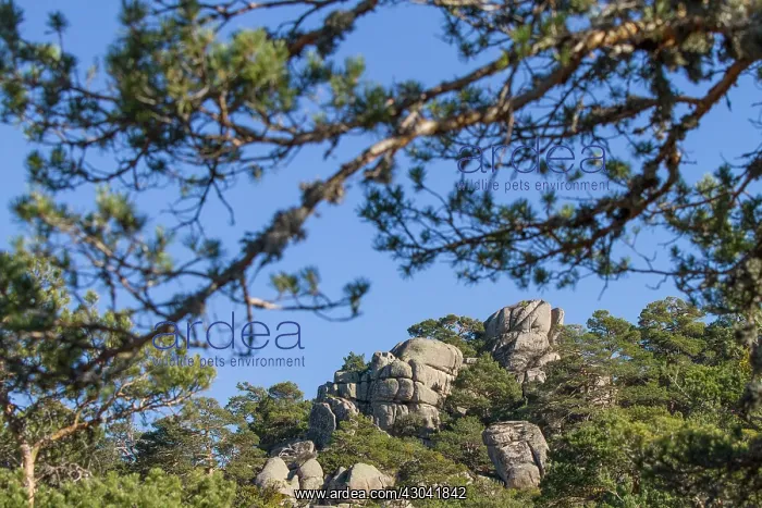 : Abantos Mountain view of rocks on top of mountain : Abantos Mountain view of rocks on top of mountain