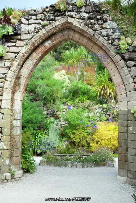 : Abbey Gardens - Tresco : Abbey Gardens - Tresco