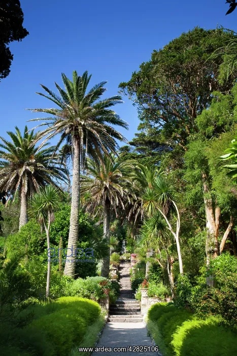 : Abbey Gardens - Tresco : Abbey Gardens - Tresco