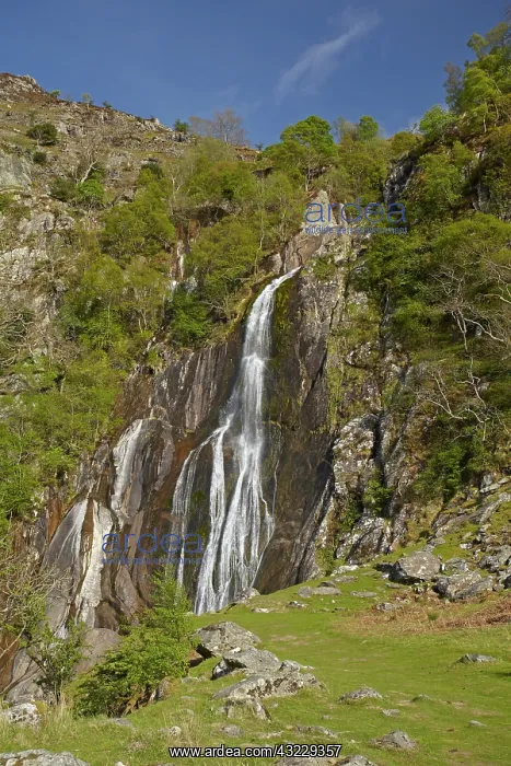  : Aber Falls, near Bangor, Wales