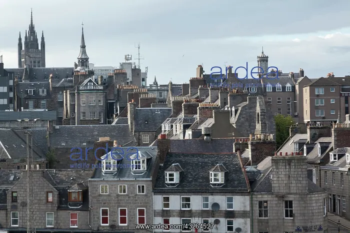 : Aberdeen town center and waterfront, Scotland : Aberdeen town center and waterfront, Scotland