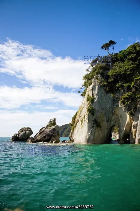 : Able Tasman, New Zealand. Shag Harbor is : Able Tasman, New Zealand. Shag Harbor is