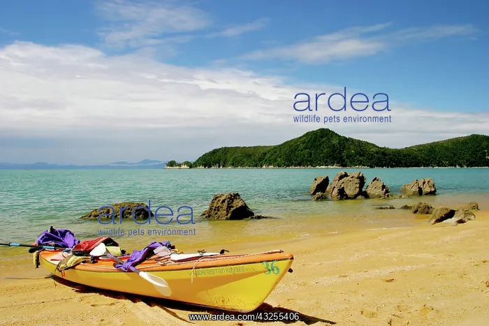 : Able Tasman NP, Nelson, New Zealand. The : Able Tasman NP, Nelson, New Zealand. The