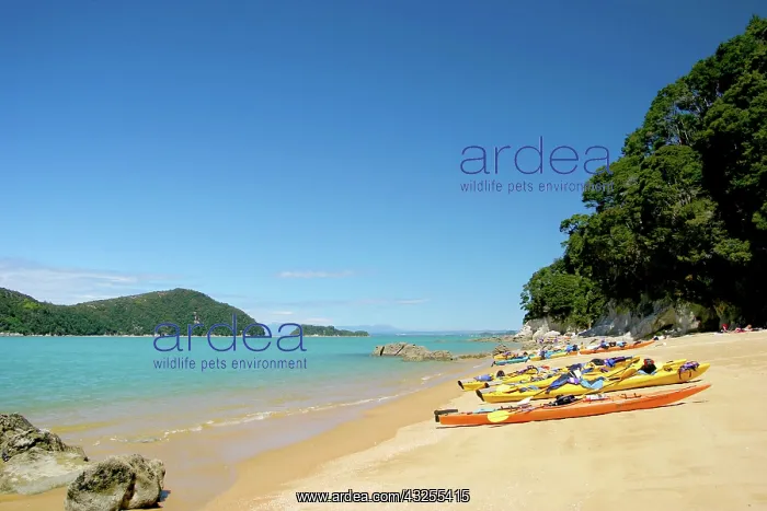 : Able Tasman NP, Nelson, New Zealand. The : Able Tasman NP, Nelson, New Zealand. The