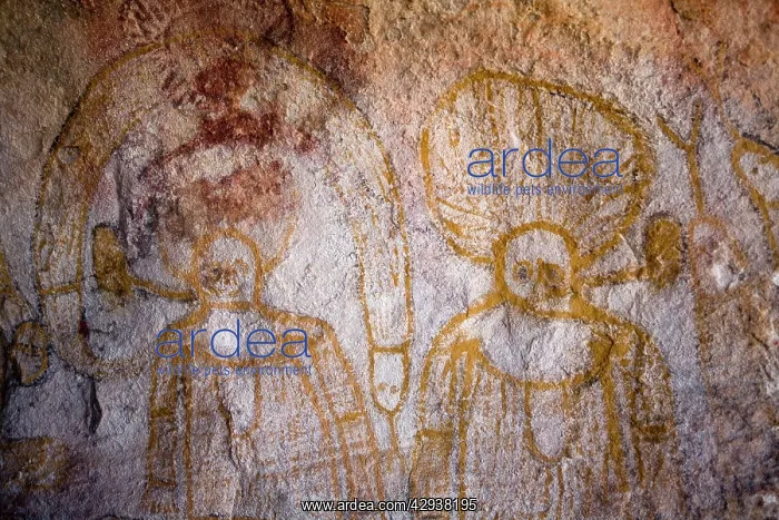 : Aboriginal art Bigge Island : Aboriginal art Bigge Island