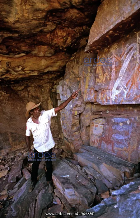  : An Aboriginal elder of local tribe interpreting