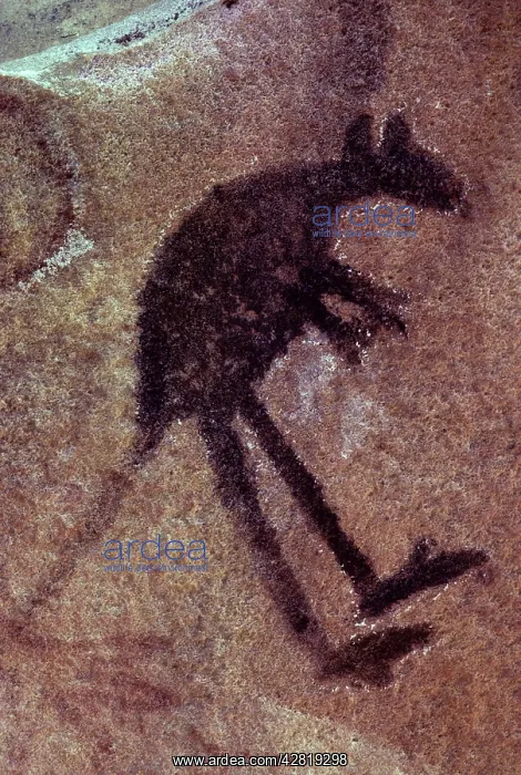 : Aboriginal Kangaroo Cave Paintiing : Aboriginal Kangaroo Cave Paintiing