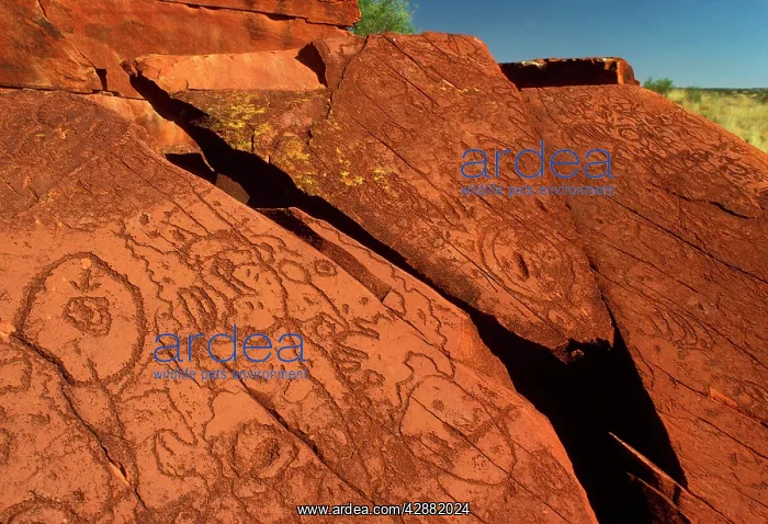 : Aboriginal petroglyphs : Aboriginal petroglyphs