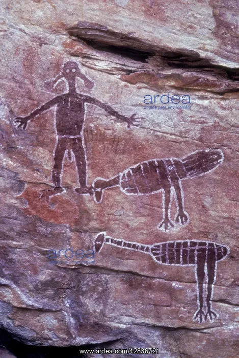: Aboriginal Rock Art - Emu - Brush turkey and Spirit Figures : Aboriginal Rock Art - Emu - Brush turkey and Spirit Figures