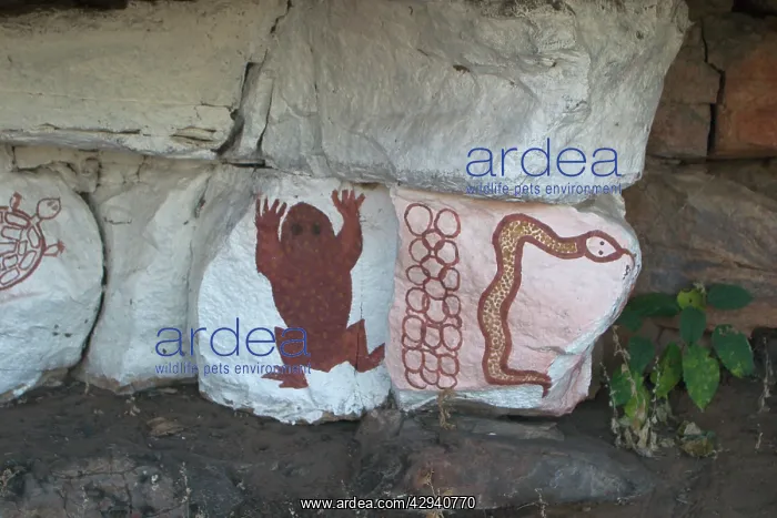 : Aboriginal Rock Art - Site on Mt Elizabeth Station : Aboriginal Rock Art - Site on Mt Elizabeth Station