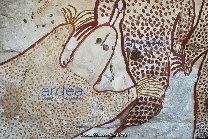 : Aboriginal Rock Art - At a site on Mt Elizabeth Station : Aboriginal Rock Art - At a site on Mt Elizabeth Station