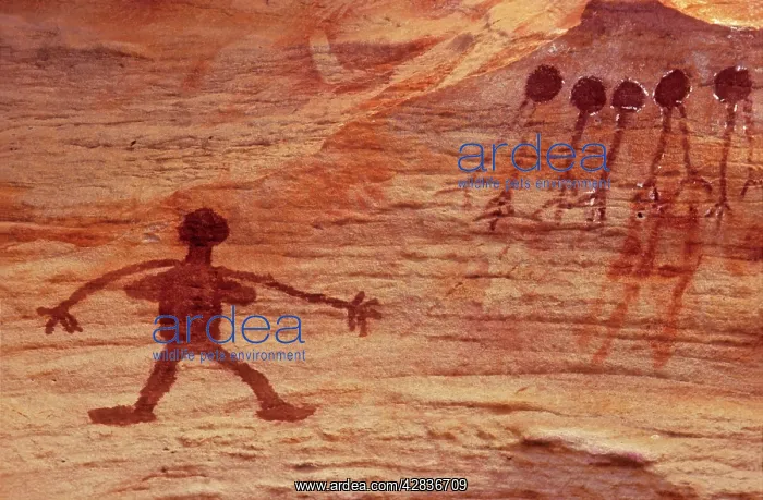 : Aboriginal Rock Art - Woman sorcery figure and yams : Aboriginal Rock Art - Woman sorcery figure and yams