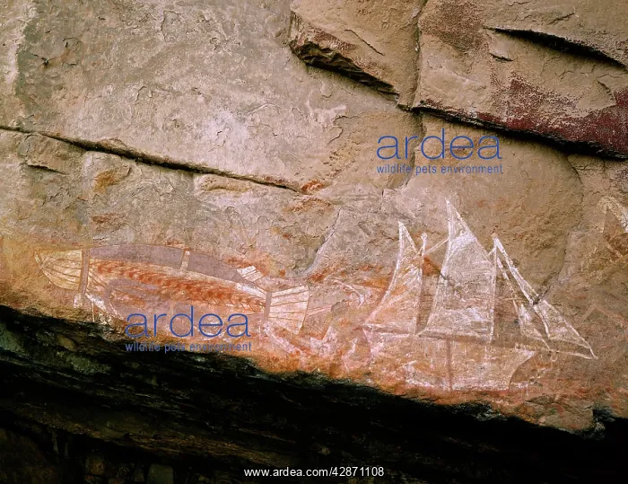 : Aboriginal Rock Paintings: X-ray style of fish : Aboriginal Rock Paintings: X-ray style of fish