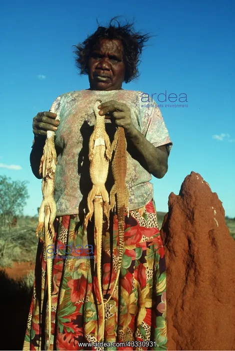 : Aborigine Woman - with Gould's Goanna / Gould's : Aborigine Woman - with Gould's Goanna / Gould's