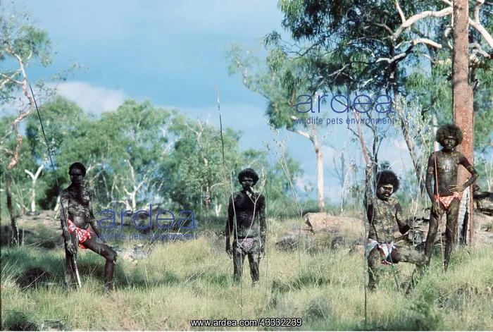 : ABORIGINES : ABORIGINES