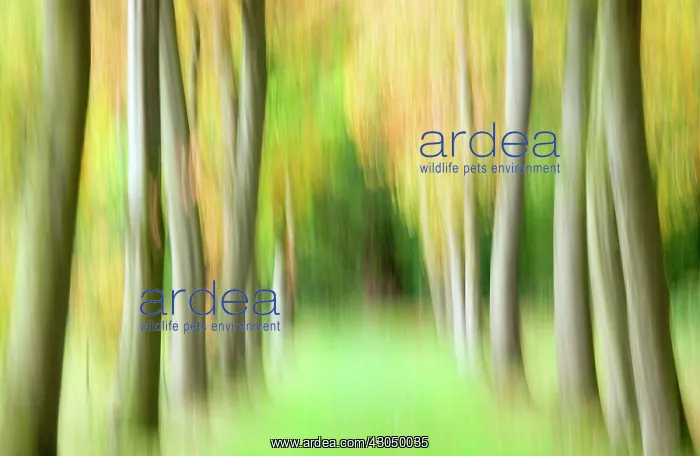 : Abstract : Abstract