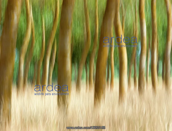  : Abstract