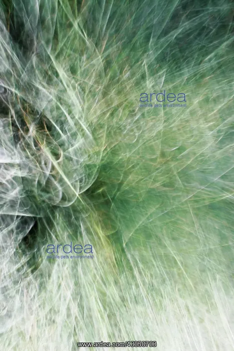 : Abstract : Abstract